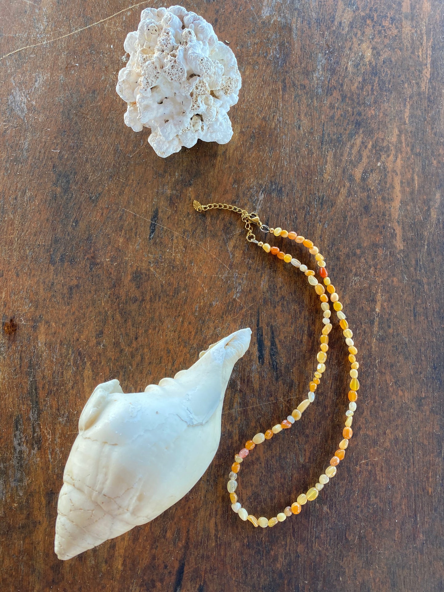 Collier Lucita studio