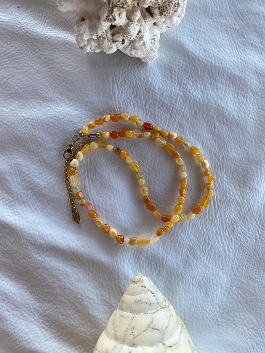 Collier Lucita studio