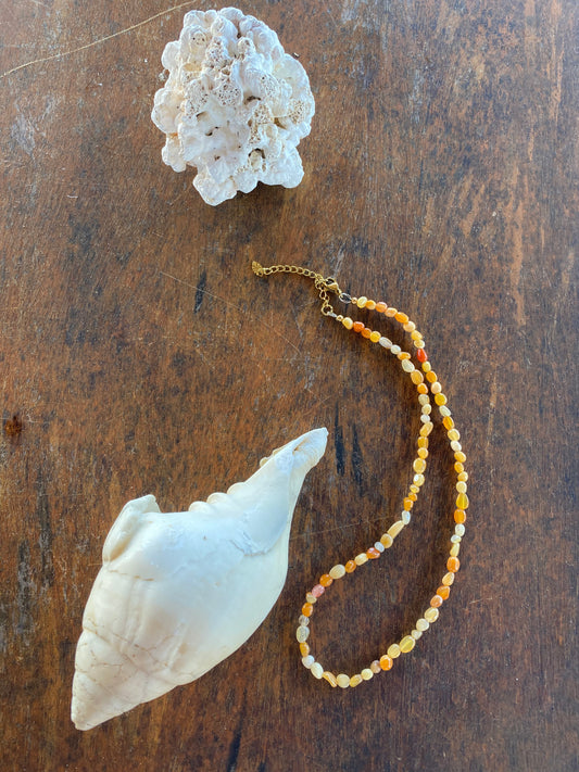 Collier Lucita studio